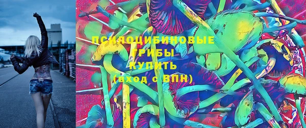 ПСИЛОЦИБИНОВЫЕ ГРИБЫ Балахна